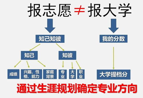 2024年報考志愿指南 計算機專業就業方向，鴻蒙開發與人工智能如何選擇？